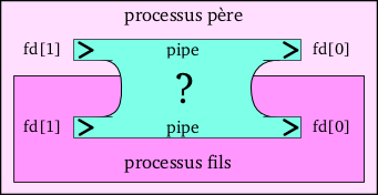 un pipe dans un processus fils