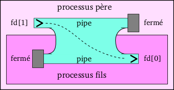 articles:communication-par-tuyau:processus_pipe_3.png